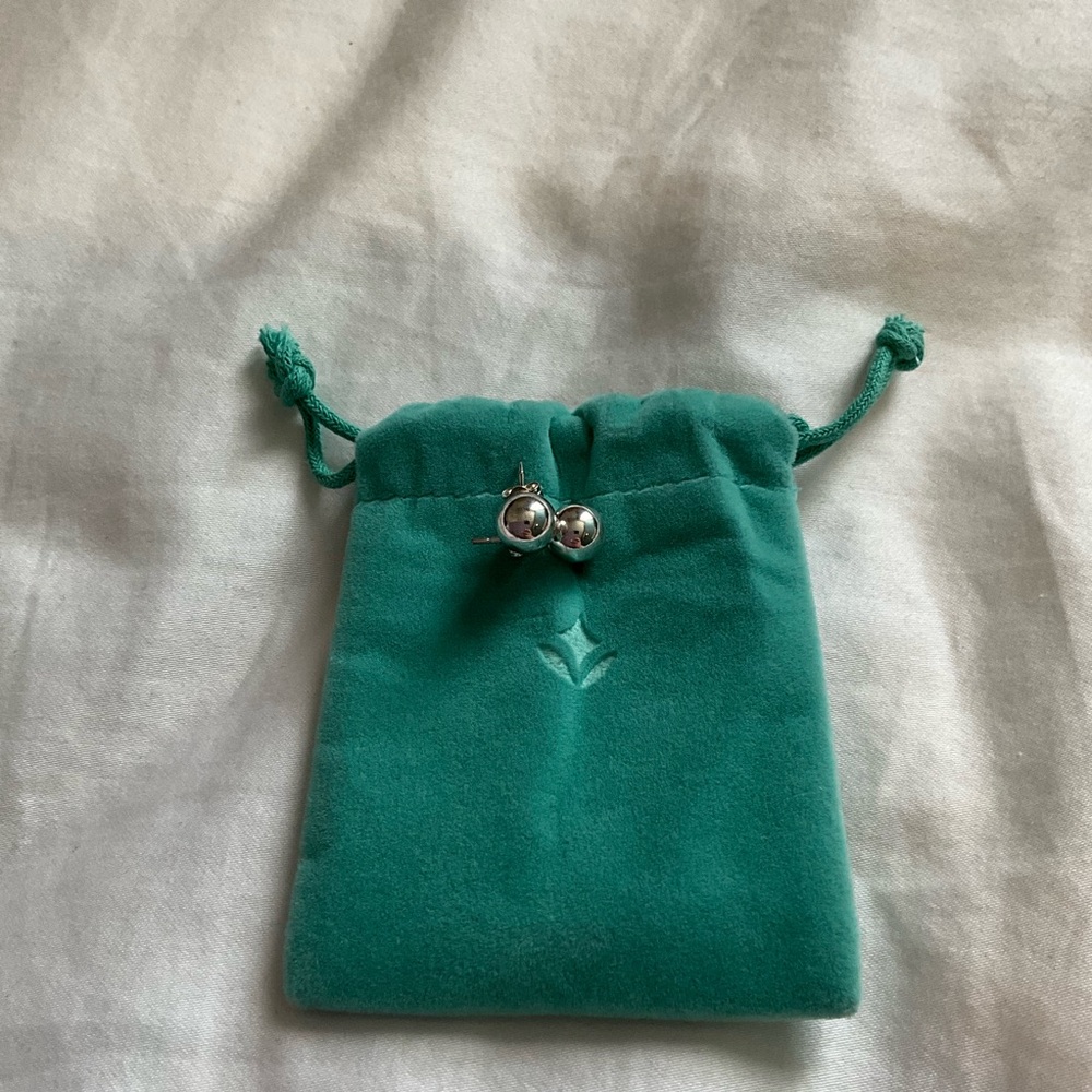 Silver Stud Earrings with Teal Velvet Pouch